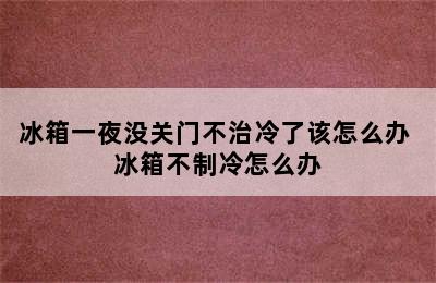 冰箱一夜没关门不治冷了该怎么办 冰箱不制冷怎么办